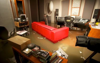 Yes Master Rises Above